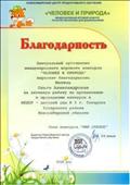 Благодарность за активную работу по организации и проведению конкурса в МКДОУ- детский сад №6, 12.12.2018 год; Благодарность за активную работу по организации и проведению конкурса в МКДОУ- детский сад №6, 12.12.2018 год;